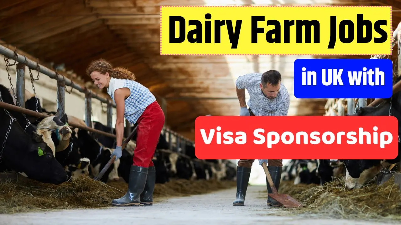 Dairy Farm Jobs in UK