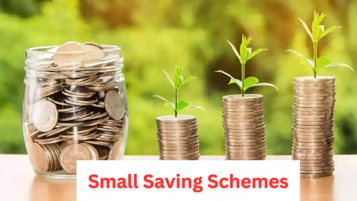 Small Saving Schemes