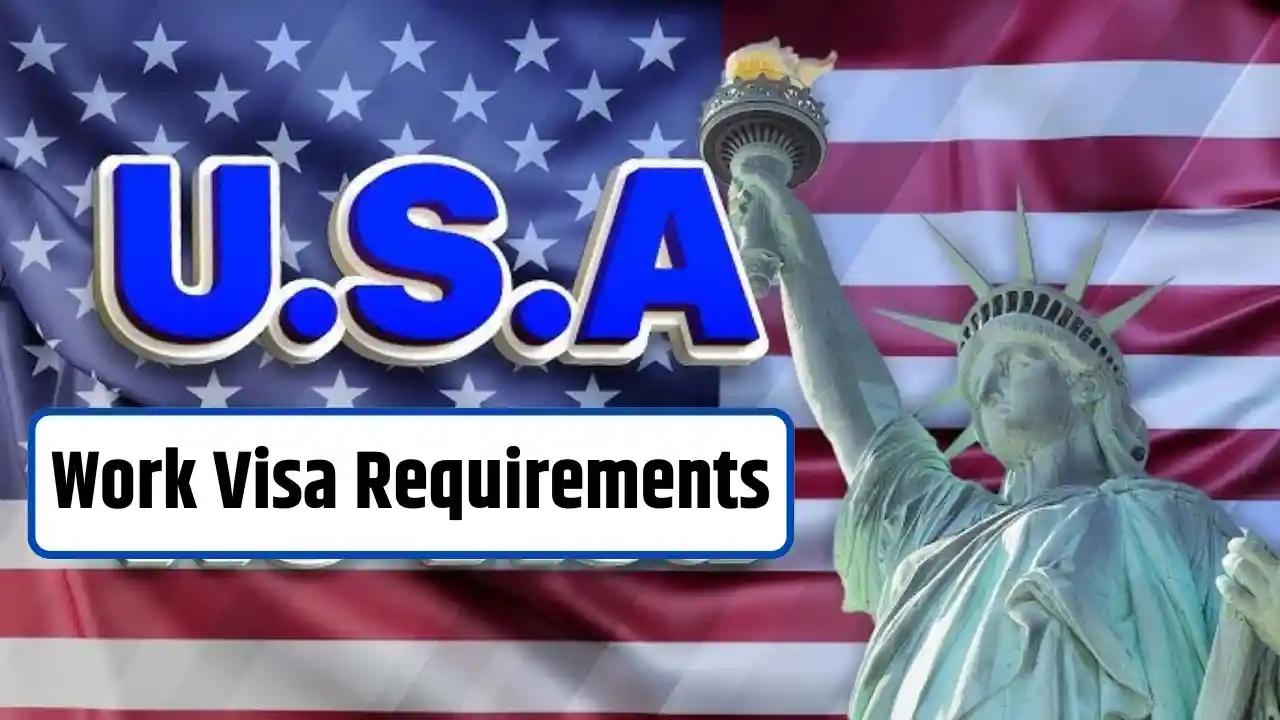 US Work Visa Requirements