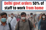 Delhi govt orders 50 of staff to work from home