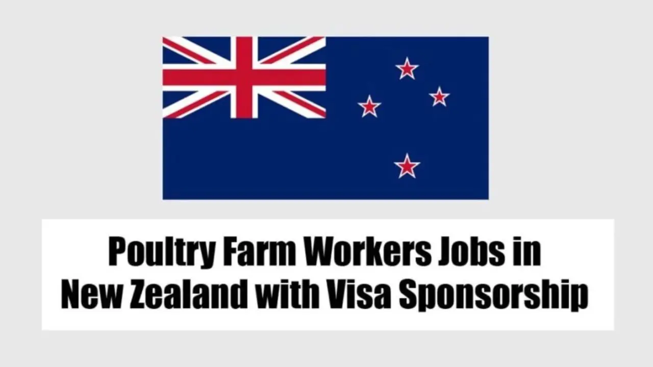 Poultry Farm Worker Jobs in New Zealand with Visa Sponsorship. 20241110 074047 0000