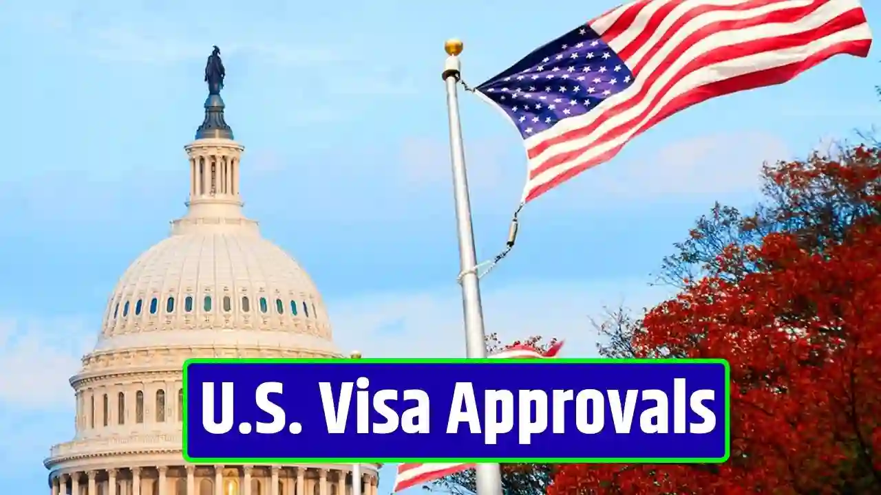 U.S. Visa Approvals